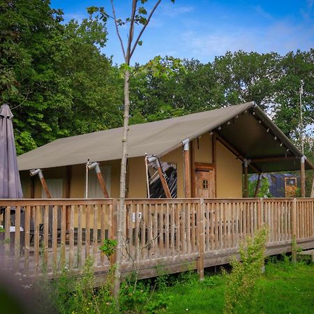 Vakantiepark Sallandshoeve Nieuw-Heeten Zewnętrze zdjęcie