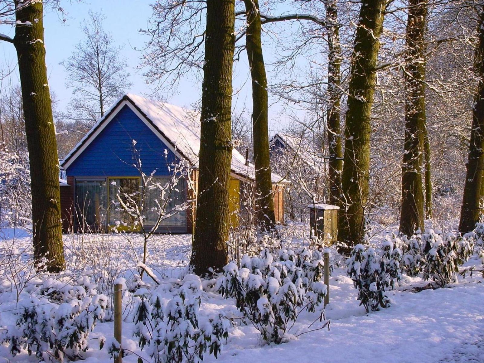 Vakantiepark Sallandshoeve Nieuw-Heeten Zewnętrze zdjęcie
